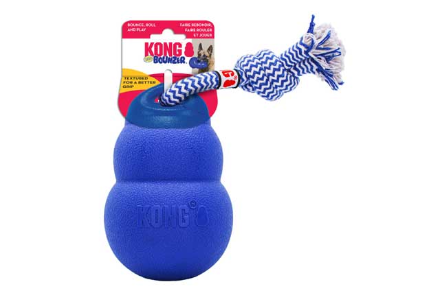 KONG Bouncer Dog Toys