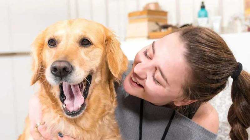 Do Dogs Personalities Mirror Their Owners?