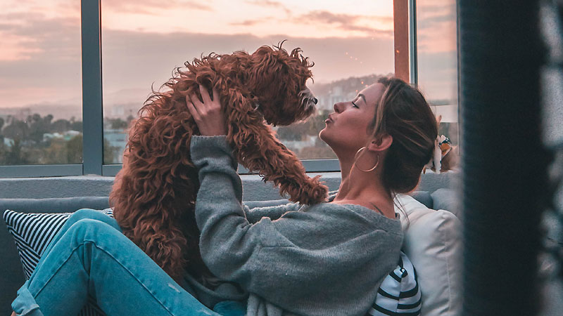 What Is A Dog's Way Of Kissing? And Truly Meaning