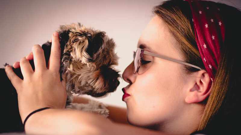 The Art of Giving Your Dog a Kiss and The Dos and Don'ts