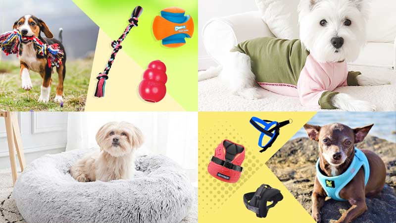 Useful Accessories for Your Dog